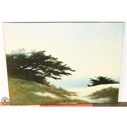 40"X30" LARGE CANVAS OCEAN SCENE