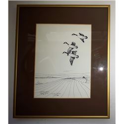 13 - SIGNED & NUMBERED LIMITED