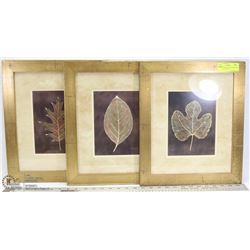 SET OF 3 FRAMED LEAF SHOWHOME PICTURES W/ ARTIST