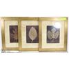 Image 1 : SET OF 3 FRAMED LEAF SHOWHOME PICTURES W/ ARTIST