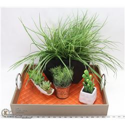 NEW MODERN SERVING TRAY WITH 4 IMITATION PLANTS