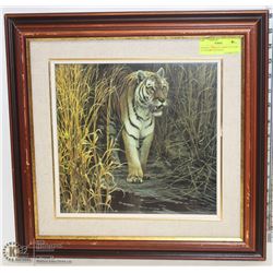 FRAMED "TIGER AT DAWN" PICTURE BY ROBERT BATEMAN