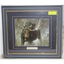 FRAMED "BULL MOOSE CHALLENGE" PICTURE BY ROBERT