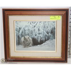FRAMED "DOZING LYNX" PICTURE BY ROBERT BATEMAN