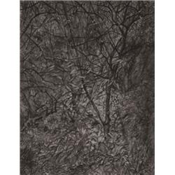 LUCIAN FREUD (b. 1922) GARDEN IN WINTER si...