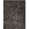 Image 1 : LUCIAN FREUD (b. 1922) GARDEN IN WINTER si...