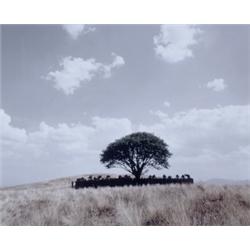 SHIRIN NESHAT (b. 1957) TOOBA SERIES c-pri...