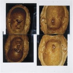 BRUCE NAUMAN (b. 1941) FOUR HEADS WITH FIN...