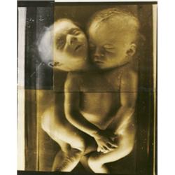 DOUGLAS AND MICHAEL STARN (b. 1961 and 196...