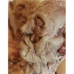 KIKI SMITH (b. 1954) UNTITLED signed, numb...