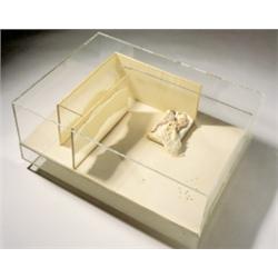 ROBERT GRAHAM (b. 1938) BEDROOM FANTASIES ...