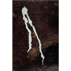 GABRIEL OROZCO (b. 1962) SPALETA DERRITIDA...