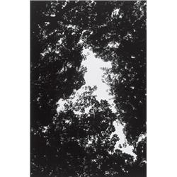 WOLFGANG TILLMANS (b. 1968) PARK signed, t...