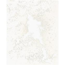 WOLFGANG TILLMANS (b. 1968) PARK WORK IV s...