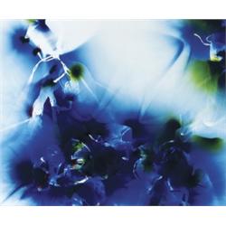 WOLFGANG TILLMANS (b. 1968) MENTAL PICTURE...