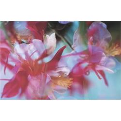 PETER FISCHLI AND DAVID WEISS (b. 1952 and...