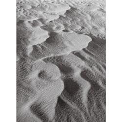 ALFRED EHRHARDT (1901-1984) UNTITLED gelat...