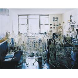 OLAF BREUNING (b. 1970) SKELETONS c-print ...