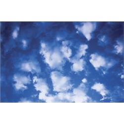 WILLIAM EGGLESTON (b. 1939) UNTITLED (CLOU...