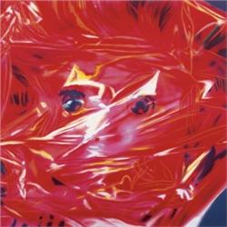 JAMES ROSENQUIST (b. 1933) GIFT WRAPPED DO...