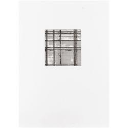 BRICE MARDEN (b. 1938) FOCUS I-V portfolio...