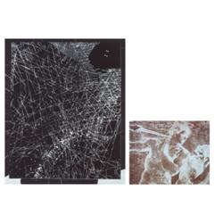 BARBARA STEINMAN (b. 1950) EXILE two Cibac...