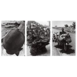 MICHEL FRAN¦OIS (b. 1956) LE MONDE ET LES ...