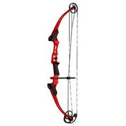 NASP - Target, Bow & Arrow Combo Package