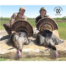 Texas Rio Grande Turkey Hunt for 2 Hunters