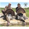 Image 1 : Texas Rio Grande Turkey Hunt for 2 Hunters