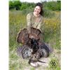 Image 3 : Texas Rio Grande Turkey Hunt for 2 Hunters
