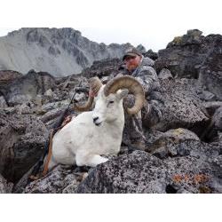 10 Day Alaskan Dall Sheep Hunt