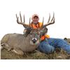 Image 2 : Ohio Whitetail Deer Hunt for 1 Hunter