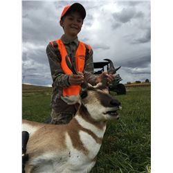 Colorado Pronghorn Hunt for 1 Hunter