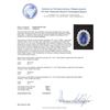 Image 5 : 10.00 ctw Tanzanite and Diamond Ring - 14KT White Gold