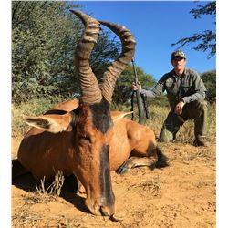 7 Day South Africa Hunt