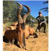 Image 1 : 7 Day South Africa Hunt