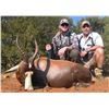 Image 3 : 7 Day South Africa Hunt
