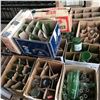 Image 1 : Pallet Lot: Large Vintage Bottle Collection - Variety