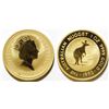 Image 1 : 1993 Australian Nugget $100 Coin