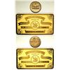 Image 1 : ANA 50 Year Gold Pin & Metallic Membership Card