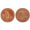 Image 1 : Dutch Commencement of the New Year Medal