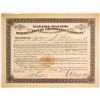 Image 1 : Pan Pacific International Exposition Company Stock Certificate