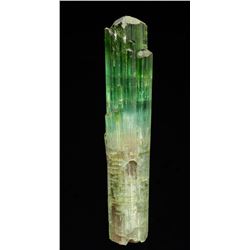 Elbaite (Tourmaline) from Brazil