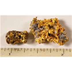 Two California Gold Specimens