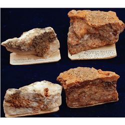 Antelope Gold-Silver Specimens