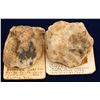 Image 1 : Cortez Mine Gold-Silver Specimens
