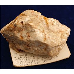 Van Valen Claim, Middle Hill Gold Specimen