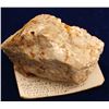 Image 1 : Van Valen Claim, Middle Hill Gold Specimen