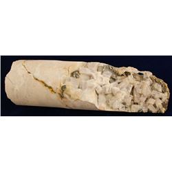 Rosebud Gold-Silver Mine